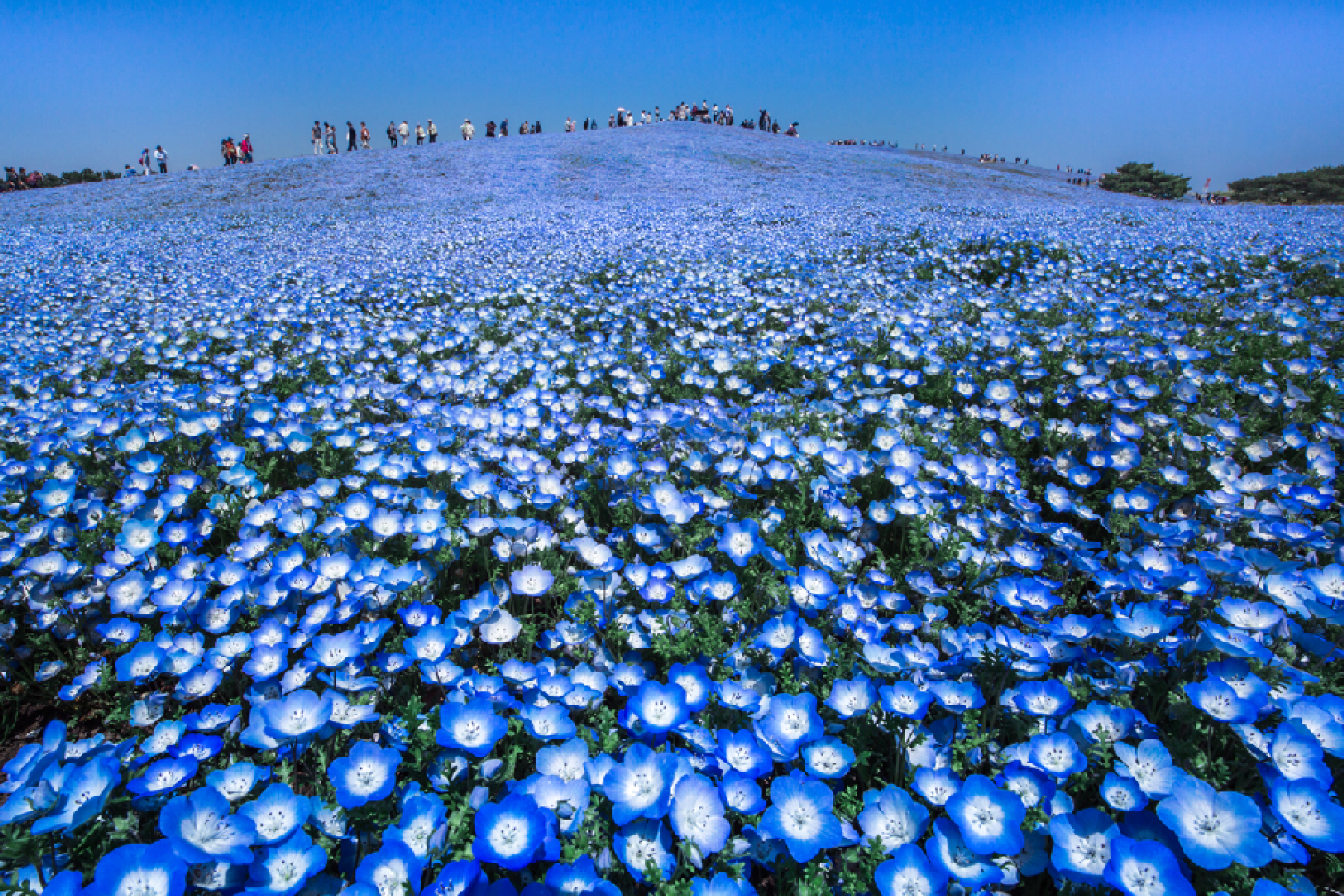 Мир 20 Фото